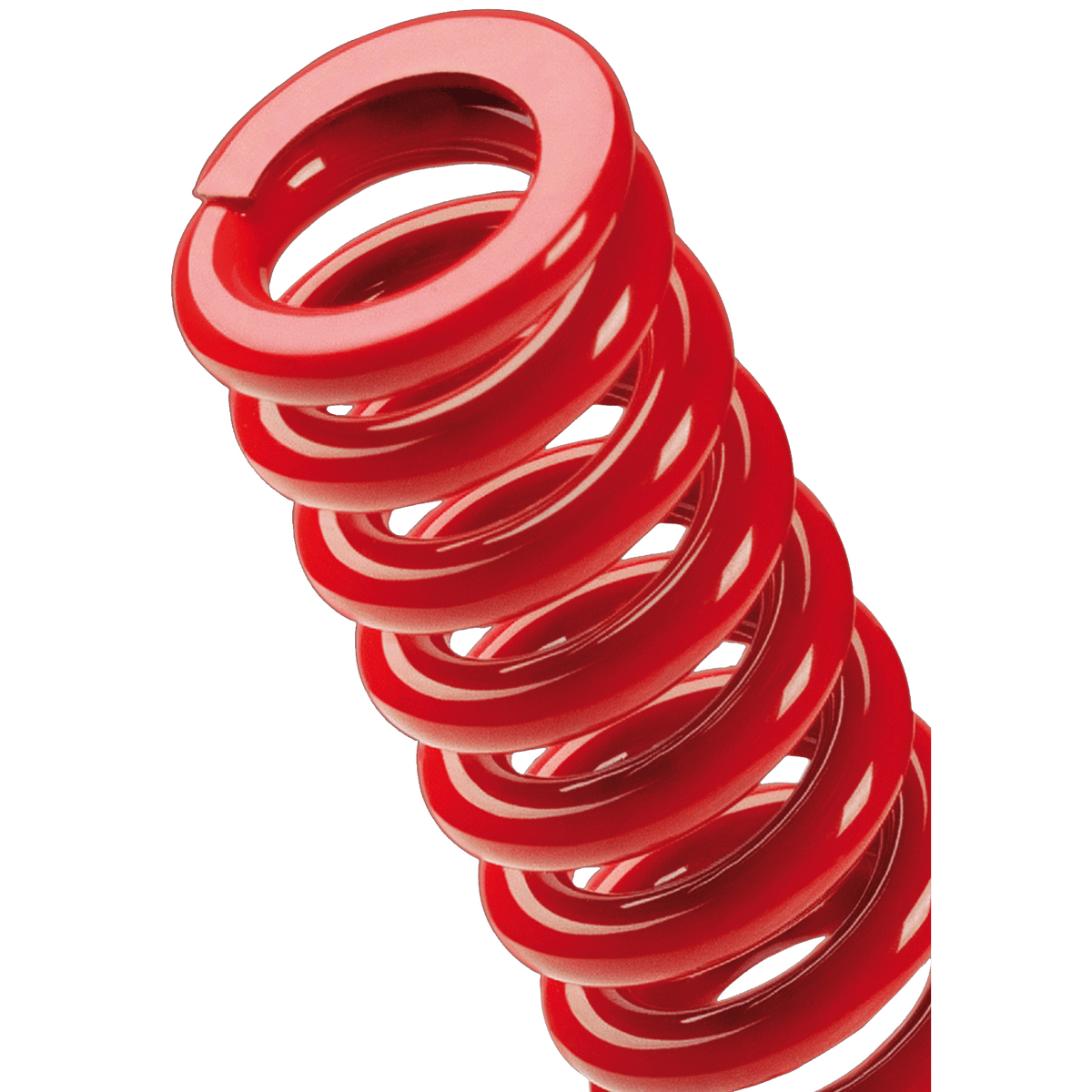 Mollificio Bordignon RR13065 Red (RR) Round Wires Series Die Springs ...