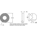 NAAMS Serrated Washer DSCS003-E160