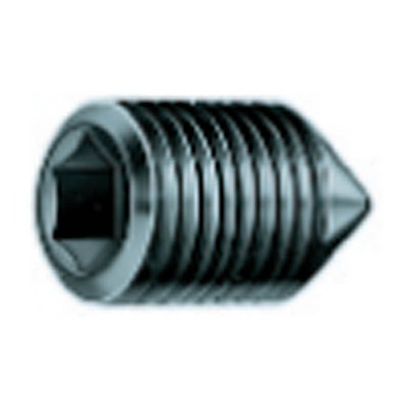 Rohm HK80234695 Face Driver Set Screw - M4 x 6 mm