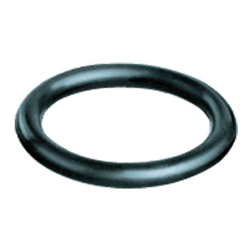 Rohm HK806252 Face Driver O-Ring - 21.82 x 3.53 mm