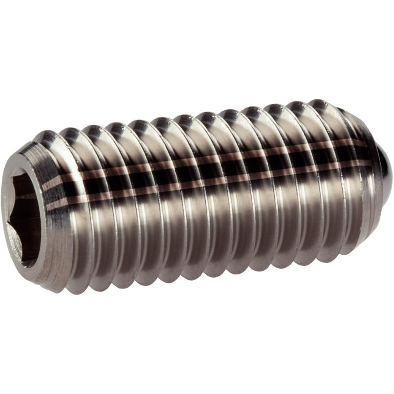 Spring Plunger - 22031.0248