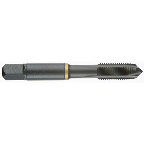 Guhring GD1544052025150 3-56 H2 COB PLUG POWERTAP-OXIDE