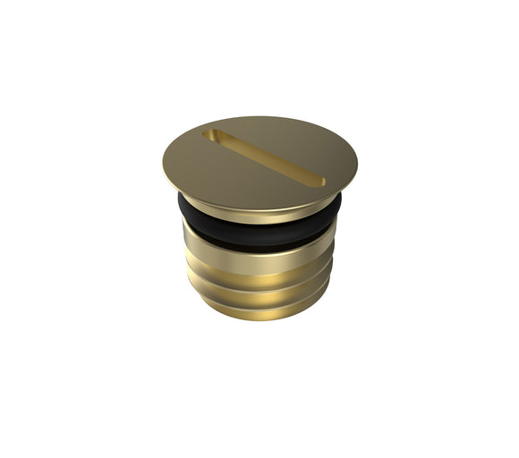 JERGENS CHIP PLUG, 12MM THD, BRASS WITH O-RING, 30MM LONG - 5PL30002