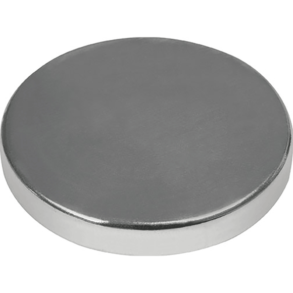 Industrial Magnetics Smart-Mag® Polymagnet Rare Earth Disc N42 CMP10018P2N42
