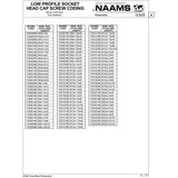 NAAMS Low Profile Socket Head Cap Screw F020607B M6 x 1.0 x 10