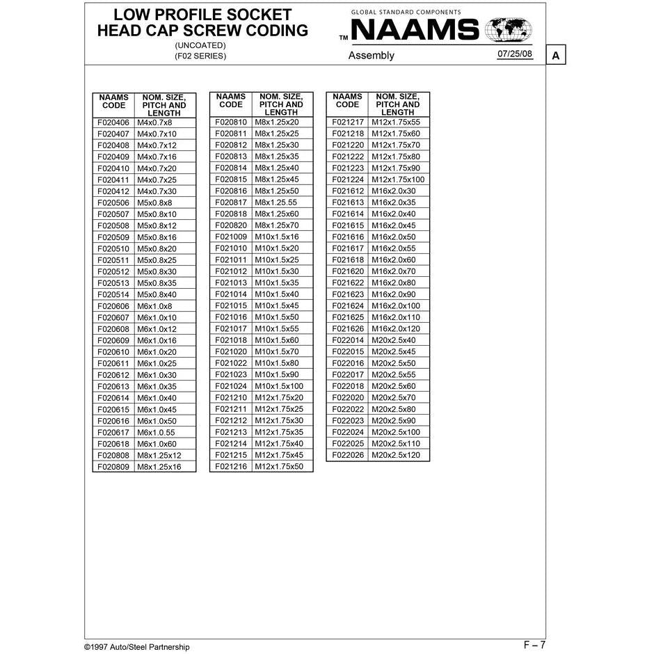 NAAMS Low Profile Socket Head Cap Screw F022020 M20 x 2.5 x 70
