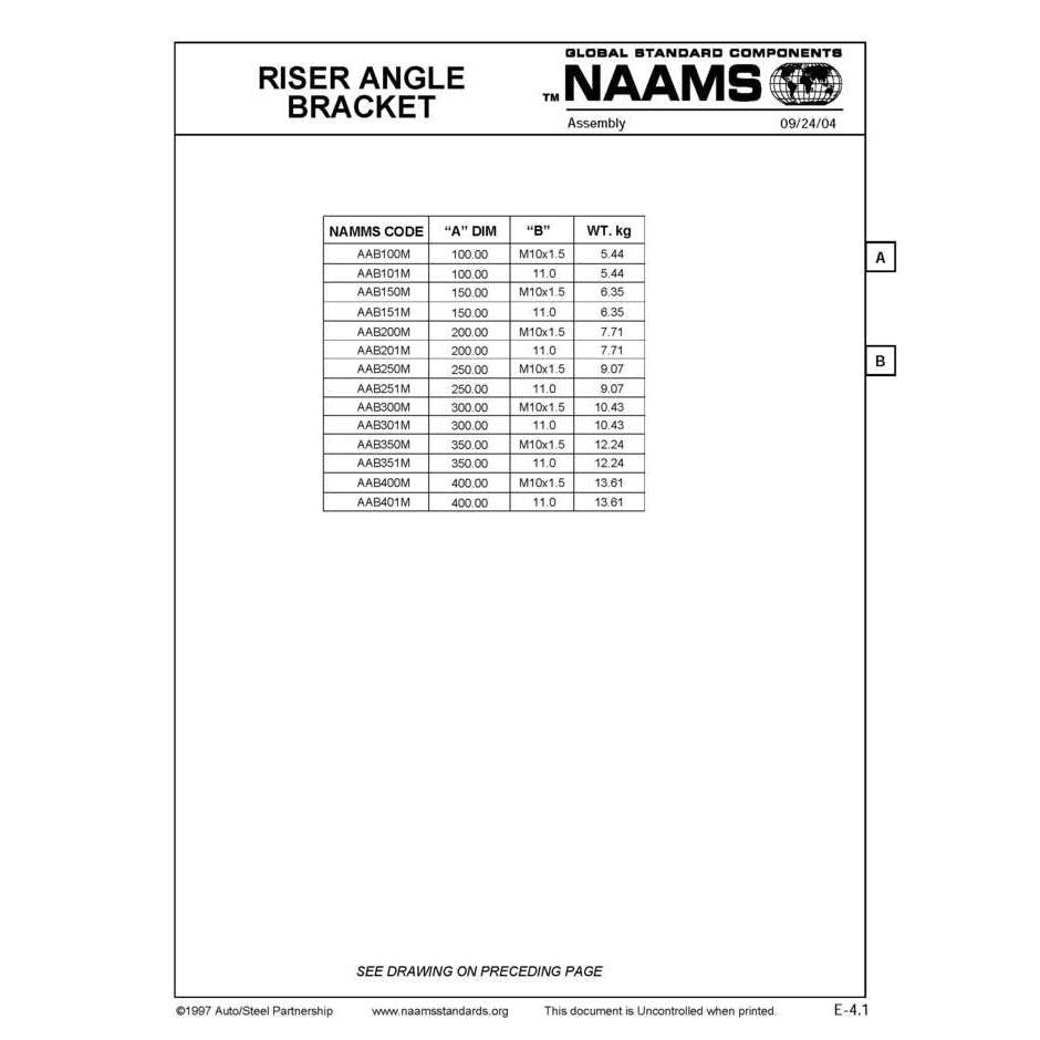 NAAMS Riser Angle Bracket AAB250M