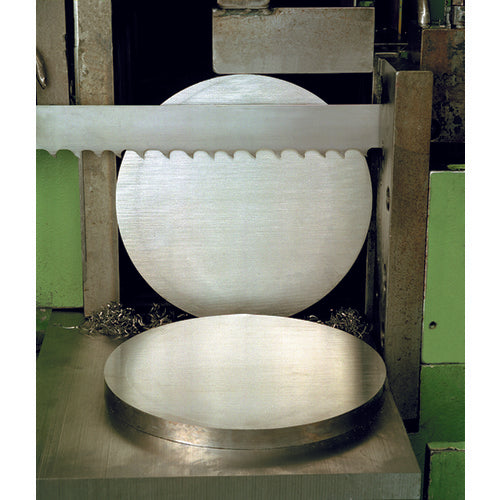 Bahco FX8412638410100 10' × 10