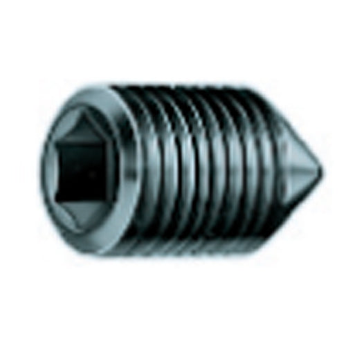 Rohm HK8048205 Face Driver Set Screw - M5x8 mm