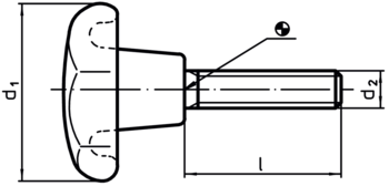 Grub Screws with Star Grip DIN 6336 plastic - 24740.0304