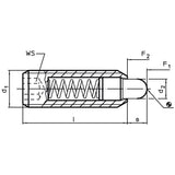Spring Plunger with pin and internal hexagon - INCH - 2B030.0270