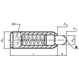 Spring Plunger with pin and internal hexagon - INCH - 2B030.0350