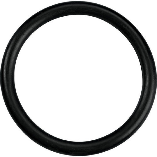 Proto KP4207675 Proto 1