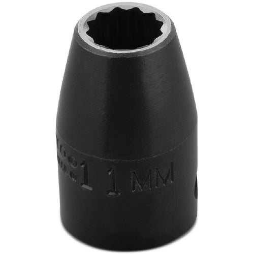 Proto KP4206680 Proto 1/2