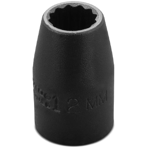 Proto KP4206685 Proto 1/2