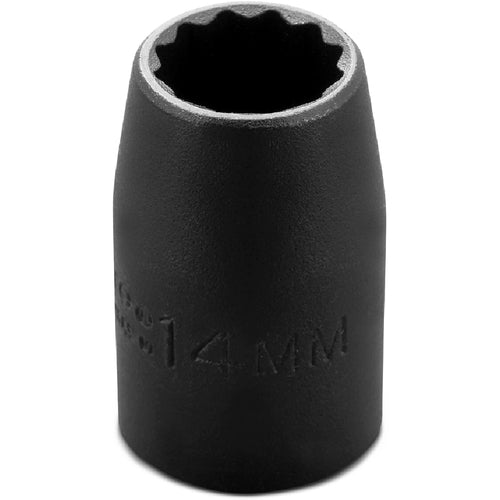 Proto KP4206695 Proto 1/2