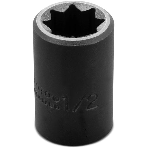 Proto KP4206215 Proto 1/2