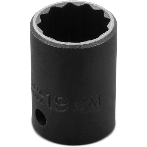 Proto KP4206720 Proto 1/2