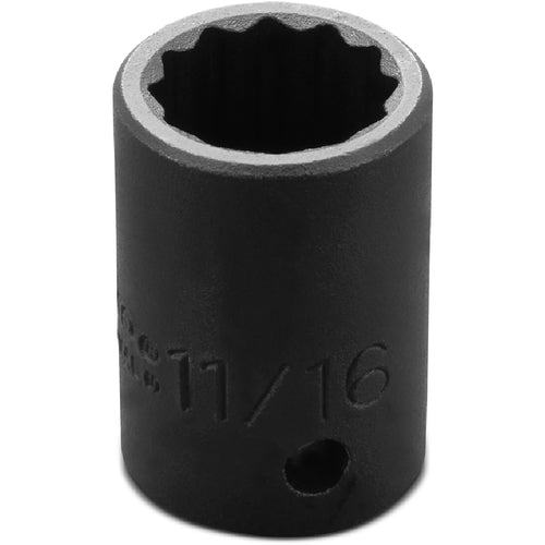 Proto KP4206270 Proto 1/2