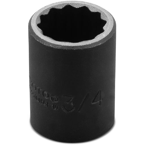 Proto KP4206295 Proto 1/2