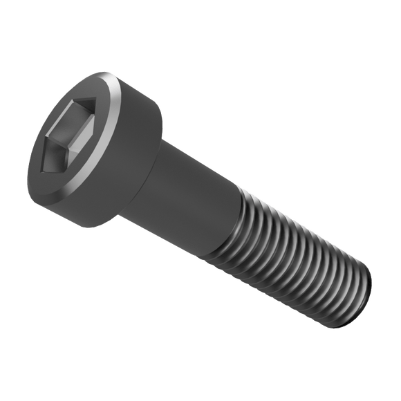 NAAMS Low Profile Socket Head Cap Screw F022017 M20 x 2.5 x 55