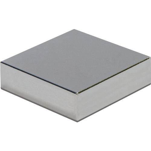 Mag-Mate NE70CMP010505P .12 x .50 x .50 Rectangular Rare Earth Magnet