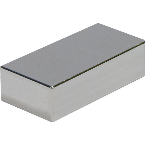 Mag-Mate NE70CMP010510P1 .12 x .50x1 Rectangular Rare Earth Magnet