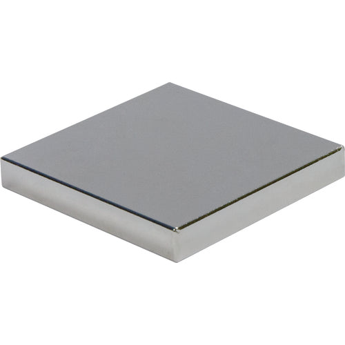 Mag-Mate NE70CMP011010P1 .12x1x1 Rectangular Rare Earth Magnet