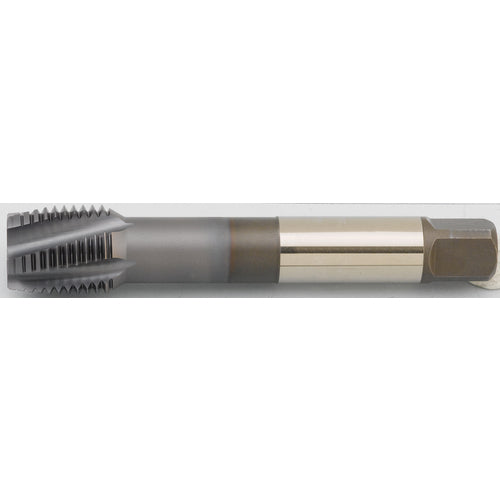 Widia WK343955350 GT315008 M6X1 6HX RHSF 371 CH