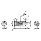 KIPP K1373.05 SPRING PLUNGER STANDARD SPRING FORCE D=M05 L=18 STEEL, FLACH, MIT GEWINDESICHERU, COMP:PIN POM