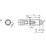 KIPP K0977.2112 SPRING PUSH-PULL PLUNGER SPRING FORCE, WITH ROTATION LOCK D=M12X1,5 L=20, FORM:H, STEEL, COMP:PIN STEEL