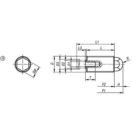 KIPP K0977.2120 SPRING PUSH-PULL PLUNGER SPRING FORCE, WITH ROTATION LOCK D=M20X1,5 L=34, FORM:H, STEEL, COMP:PIN STEEL