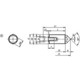 KIPP K0977.3220 SPRING PUSH-PULL PLUNGER INTENSIFIED SPRING FORCE, WITH ROTATION LOCK D=M20X1,5 L=34, FORM:K, STEEL, COMP:PIN