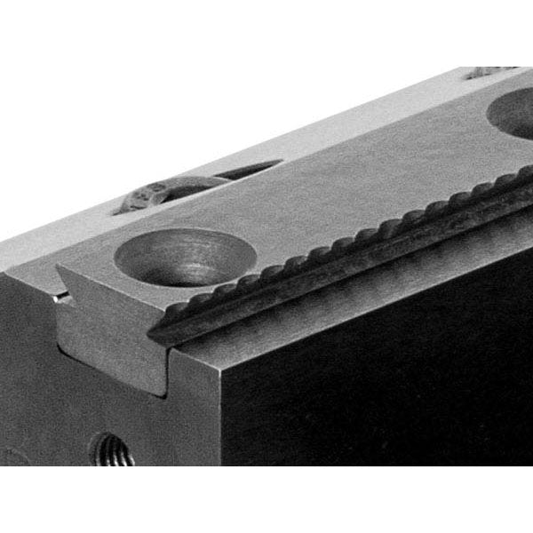 Raptor RWP-1550 Serrated Dovetail Insert for Raptor RWP-505 vise